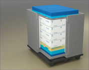 Cooler Cold Chain Packaging Box With EPP