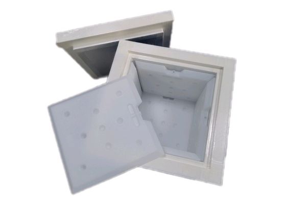 17.5"X11.5"X6.5" Temperature Controlled Packaging EPP Insulated Shipping Cooler